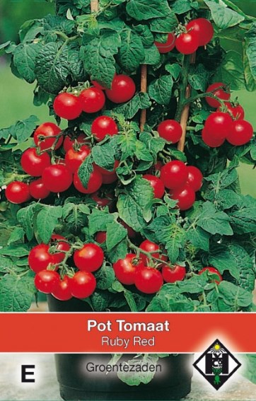 Tomaten Ruby Red (Solanum) 100 Samen